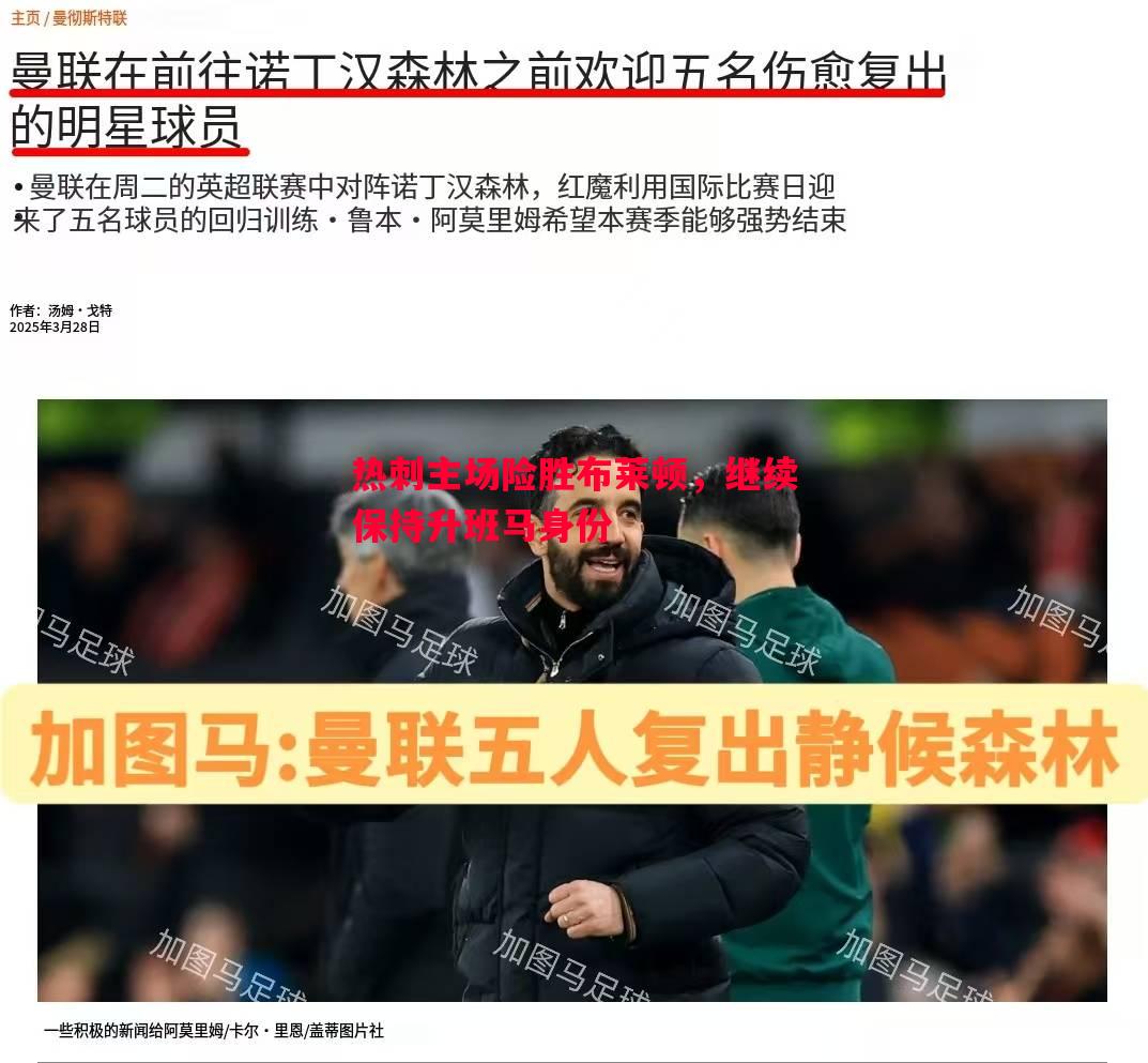 热刺主场险胜布莱顿，继续保持升班马身份