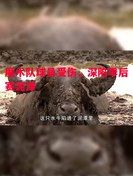 魔术队球员受伤，深陷季后赛泥潭