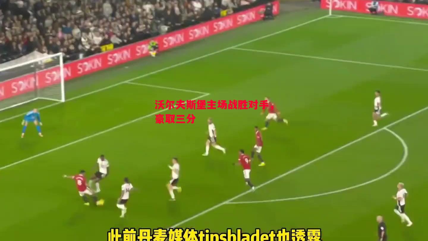 沃尔夫斯堡主场战胜对手,豪取三分 沃尔夫斯堡主场战胜对手,豪取三分