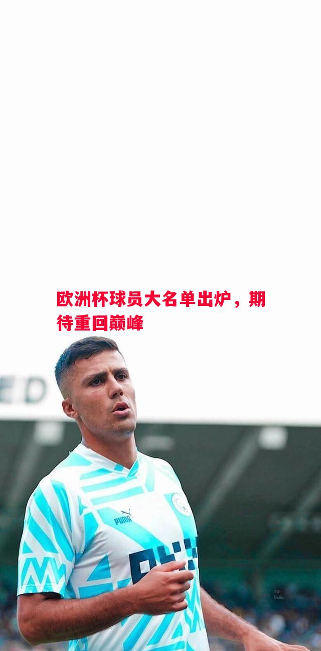 欧洲杯球员大名单出炉，期待重回巅峰
