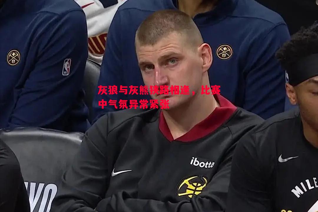 灰狼与灰熊狭路相逢，比赛中气氛异常紧张
